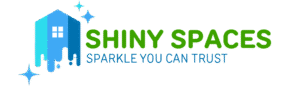 Shiny Spaces logo